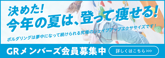 お得で便利な料金プラン【GRメンバーズ】 | グラビティリサーチ